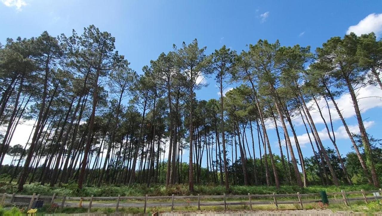 Maison Gemme A Landes Léon Zewnętrze zdjęcie